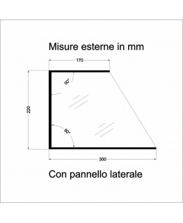 E-1188 PAR-A - Parafiato parasputi in plexiglass trasparente per alimenti con pannelli laterali - Misure: 45x30x H22 cm
