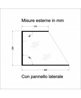 E-1188 PAR-D - Parafiato parasputi in plexiglass trasparente per alimenti con pannelli laterali - Misure: 120x30x H22 cm
