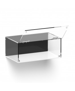 E-990 TEC-X - Personalizzabile - Teca espositiva in plexiglass da parete con sportello e cerniere frontali e chiusura a calam...