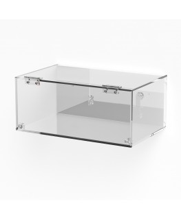 E-1002 TEC-X - Personalizzabile - Teca espositiva in plexiglass da parete con sportello e cerniere frontali e chiusura a cala...