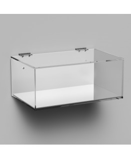 E-1012 TEC-X - Personalizzabile - Teca espositiva in plexiglass da parete con sportello e cerniere superiori e chiusura a cal...