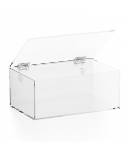 E-1018 TEC-X - Personalizzabile - Teca espositiva in plexiglass da parete con sportello e cerniere superiori e chiusura a cal...