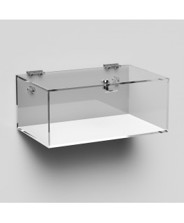 E-1052 TEC-X - Personalizzabile - Teca espositiva in plexiglass da parete con sportello e cerniere superiori e chiusura con s...