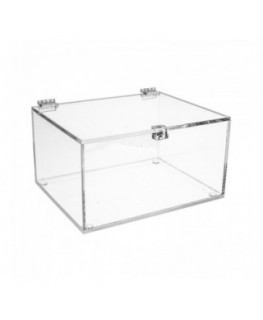 E-191 TEC - Teca in plexiglass trasparente - Misure interne: 20x15x H10