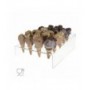 Countertop mini cone holder in transparent plexiglass