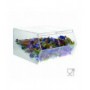 Porta caramelle  in plexiglass trasparente CON sportello e Ripiano Inclinato