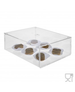 E-655 VET-X - PERSONALIZZABILE - Vetrinetta in plexiglass trasparente con coperchio superiore estraibile - Spessore 5 mm