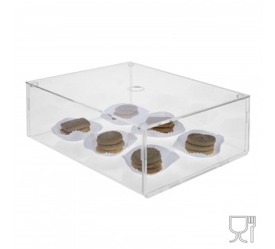 E-655 VET-X - PERSONALIZZABILE - Vetrinetta in plexiglass trasparente con coperchio superiore estraibile - Spessore 5 mm