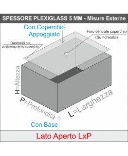 E-655 VET-X - PERSONALIZZABILE - Vetrinetta in plexiglass trasparente con coperchio superiore estraibile - Spessore 5 mm