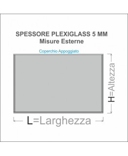 E-655 VET-X - PERSONALIZZABILE - Vetrinetta in plexiglass trasparente con coperchio superiore estraibile - Spessore 5 mm