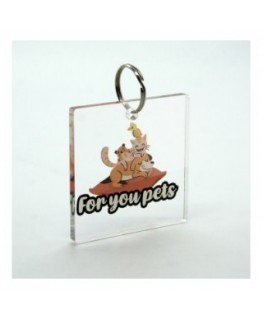 T445 - Portachiavi in Plexiglass Trasparente Quadrato