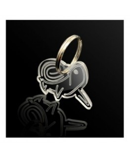 T924 - Portachiavi In Plexiglass Trasparente Inciso Tartaruga